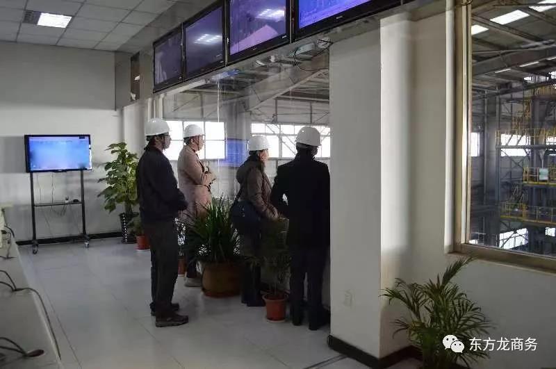 東方龍商務北京分公司陪同政府園區赴外資上市綜合環保中心處理項目方對接考察