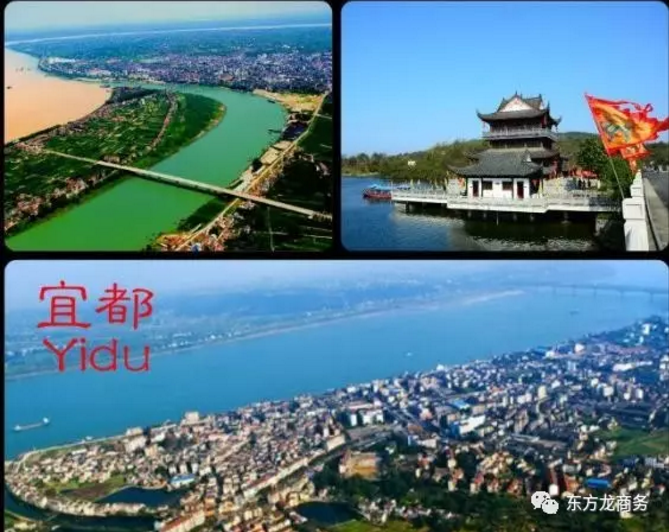 東方龍商務(wù)舉行湖北省宜都市委托招商引資啟動(dòng)會(huì)，共同推動(dòng)項(xiàng)目對(duì)接和落地