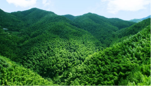 集團全力助推安徽六安霍山縣委托招商引資，著力打造支柱型特色產業高質發展