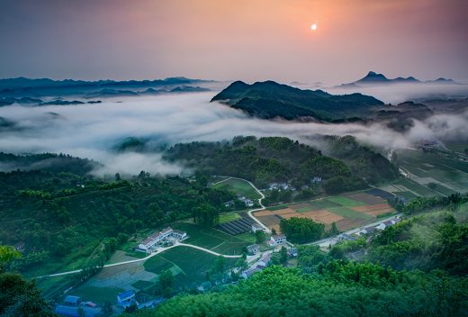 集團全力助推安徽六安霍山縣委托招商引資，著力打造支柱型特色產業高質發展