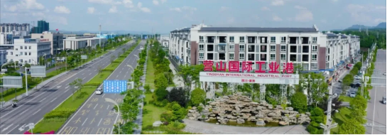 集團全力助推四川南充營山縣委托招商引資，加快產業融合發展，為打造經濟強縣助力