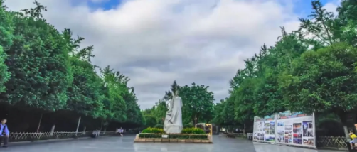 集團全力助推四川南充營山縣委托招商引資，加快產業融合發展，為打造經濟強縣助力