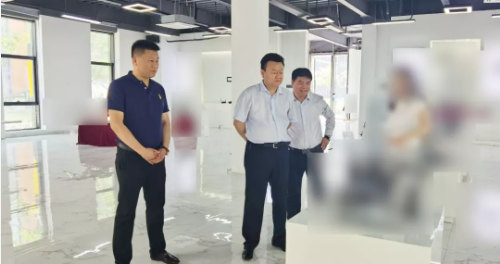 同步協調，高效推進！集團成功助推5家優質投資選址企業對接地方政府