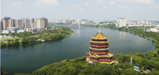 集團全力助推江西省鷹潭市月湖區委托招商引資，發揮多重優勢，打造產業集群