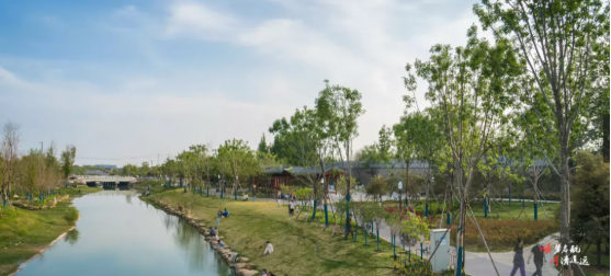 集團全力助推河南開封順河回族區委托招商引資，突出特色優勢，強化精準賦能，提升經濟活力
