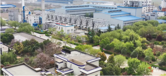 集團全力助推河南開封順河回族區委托招商引資，突出特色優勢，強化精準賦能，提升經濟活力