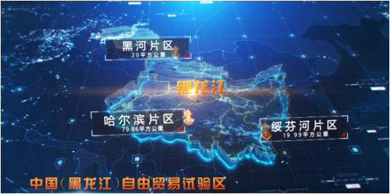 集團全力助推黑龍江省商務廳委托招商引資，打造東北經濟發展的強引擎