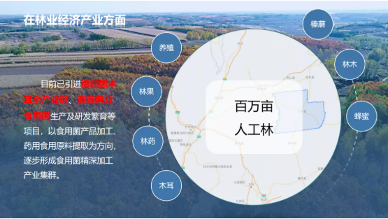 集團(tuán)全力助推黑龍江齊齊哈爾拜泉縣委托招商引資，立足資源優(yōu)勢(shì)，開(kāi)辟產(chǎn)業(yè)集群高質(zhì)量發(fā)展新高地