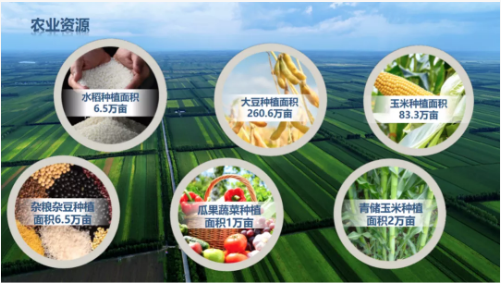 集團(tuán)全力助推黑龍江齊齊哈爾拜泉縣委托招商引資，立足資源優(yōu)勢(shì)，開(kāi)辟產(chǎn)業(yè)集群高質(zhì)量發(fā)展新高地