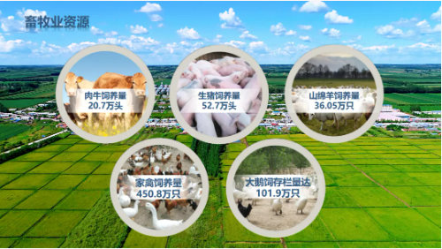 集團(tuán)全力助推黑龍江齊齊哈爾拜泉縣委托招商引資，立足資源優(yōu)勢(shì)，開(kāi)辟產(chǎn)業(yè)集群高質(zhì)量發(fā)展新高地