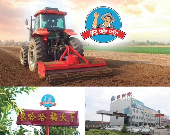 集團(tuán)全力助推河北石家莊深澤縣委托招商引資，立足“一主兩優(yōu)兩傳統(tǒng)”，加快構(gòu)建現(xiàn)代產(chǎn)業(yè)體系