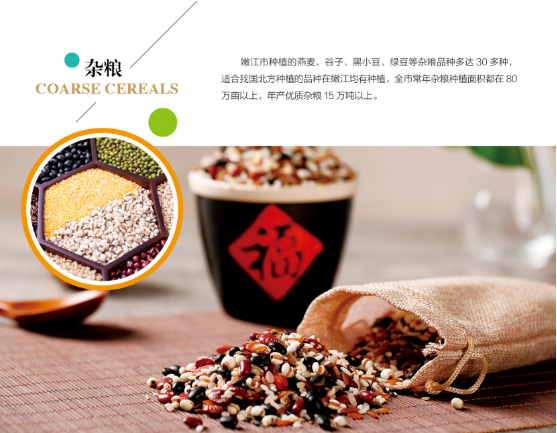 集團全力助推黑龍江嫩江市委托招商引資，以6大優勢助推地方產業高質量發展
