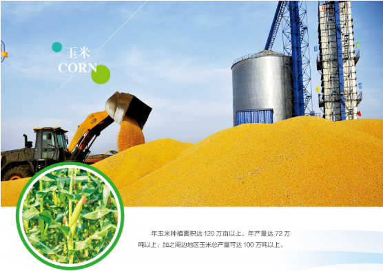 集團全力助推黑龍江嫩江市委托招商引資，以6大優勢助推地方產業高質量發展