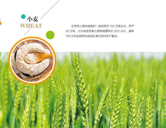 集團全力助推黑龍江嫩江市委托招商引資，以6大優勢助推地方產業高質量發展