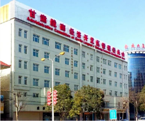 集團全力助推甘肅隴南成縣委托招商引資，充分挖掘資源潛力，增強經濟發展動力