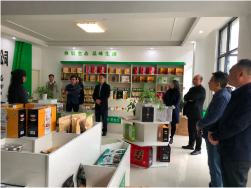 集團全力助推甘肅隴南成縣委托招商引資，充分挖掘資源潛力，增強經濟發展動力