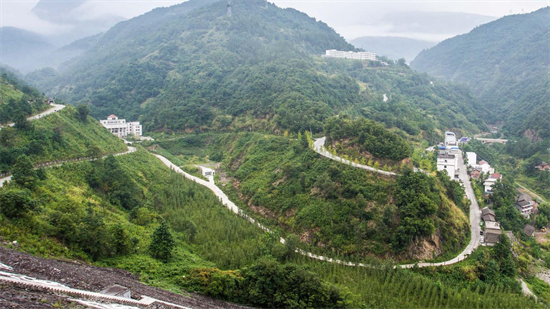 集團(tuán)全力助推甘肅隴南武都區(qū)委托招商引資，將地域資源優(yōu)勢(shì)轉(zhuǎn)化為經(jīng)濟(jì)發(fā)展新動(dòng)能