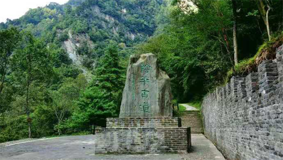 東方龍商務(wù)集團(tuán)全力助推甘肅隴南文縣委托招商招商引資，重點(diǎn)構(gòu)建特色農(nóng)業(yè)、優(yōu)勢(shì)工業(yè)、文旅康養(yǎng)三大產(chǎn)業(yè)集群