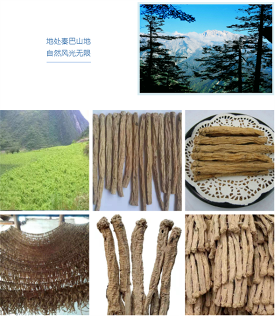 東方龍商務(wù)集團(tuán)全力助推甘肅隴南文縣委托招商招商引資，重點(diǎn)構(gòu)建特色農(nóng)業(yè)、優(yōu)勢(shì)工業(yè)、文旅康養(yǎng)三大產(chǎn)業(yè)集群