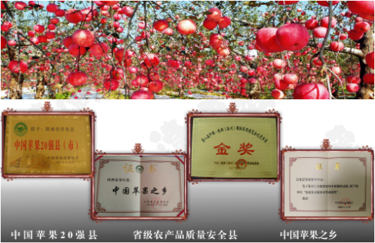 集團全力助推陜西淳化縣委托招商引資，打造優勢特色產業集群