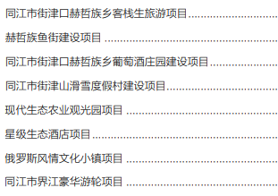 集團(tuán)全力助推黑龍江省同江市委托招商引資，充分挖掘開(kāi)發(fā)潛能，再次綻放邊陲魅力