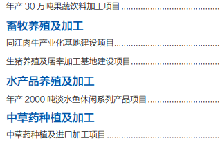 集團(tuán)全力助推黑龍江省同江市委托招商引資，充分挖掘開(kāi)發(fā)潛能，再次綻放邊陲魅力