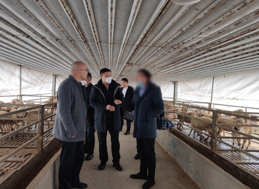 用時僅17天，投資額10億！新疆某地方政府與肉羊養殖加工產業投資選址項目成功簽訂投資協議