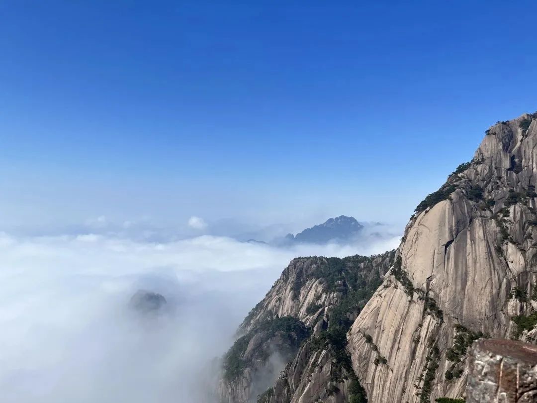 東方龍商務(wù)與春天有個約會！集團100余人赴安徽黃山“團建”，太嗨了！“奔跑二季度”——我們準備好了！