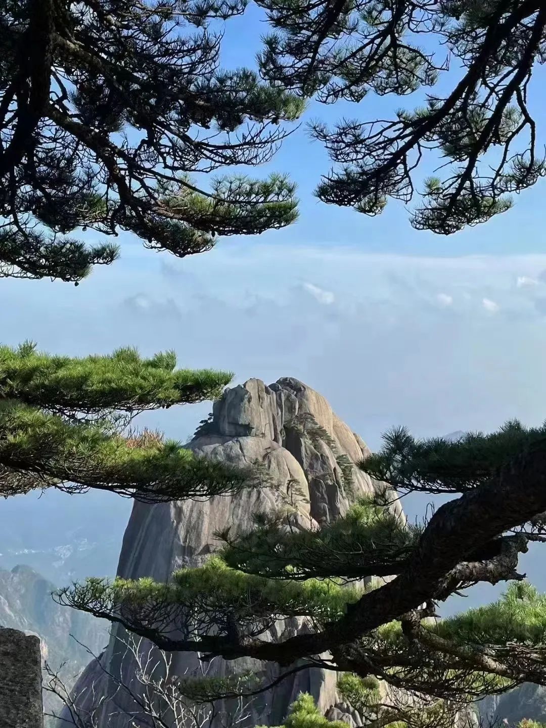 東方龍商務(wù)與春天有個約會！集團100余人赴安徽黃山“團建”，太嗨了！“奔跑二季度”——我們準備好了！