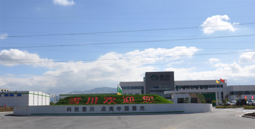 【2023年度運營服務(wù)地圖】總投資達1162.38億的優(yōu)質(zhì)項目精準落地！1000個項目對接量圓滿達成！