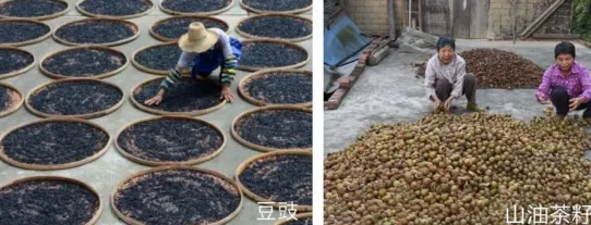集團全力助推廣西賀州昭平縣委托招商引資，助力產(chǎn)業(yè)蝶變升級！