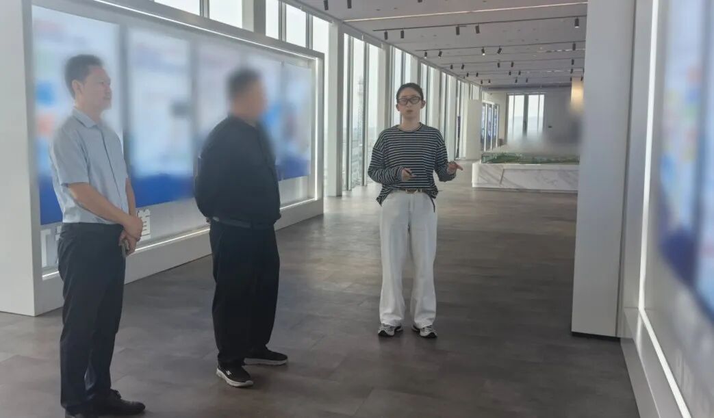 投資額6億元，不到1個月！上海東方龍商務集團精準推動獨立儲能電站布局擴建投資選址項目方與湖南某地方政府成功簽約